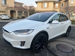 2020 Tesla MODEL X PERFORMANCE AWD
