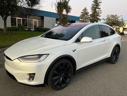 2019 Tesla MODEL X 100D AWD